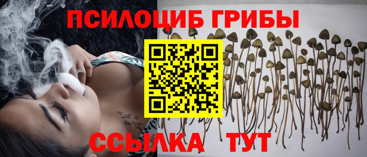 Галлюциногенные грибы Psilocybine cubensis  Вход с VPN  как найти закладки  Стрежевой 